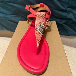 Super cute Cole Haan thong sandal